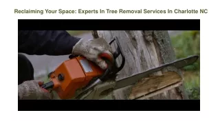 Reclaiming Your Space Experts In Tree Removal Services In Charlotte NC