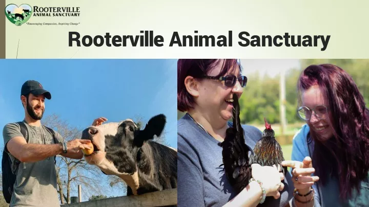 rooterville animal sanctuary