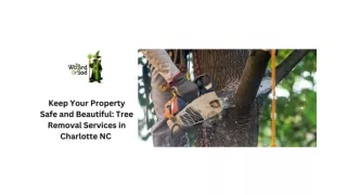 KEEP YOUR PROPERTY SAFE AND BEAUTIFUL TREE REMOVAL SERVICES IN CHARLOTTE NC