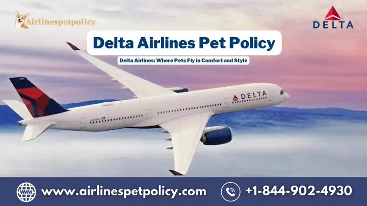 delta airlines pet policy