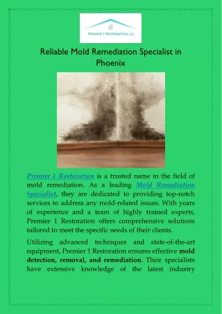 Reliable Mold Remediation Specialist in Phoenix