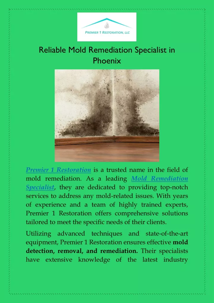 reliable mold remediation specialist in phoenix