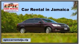Car Rental in Jamaica