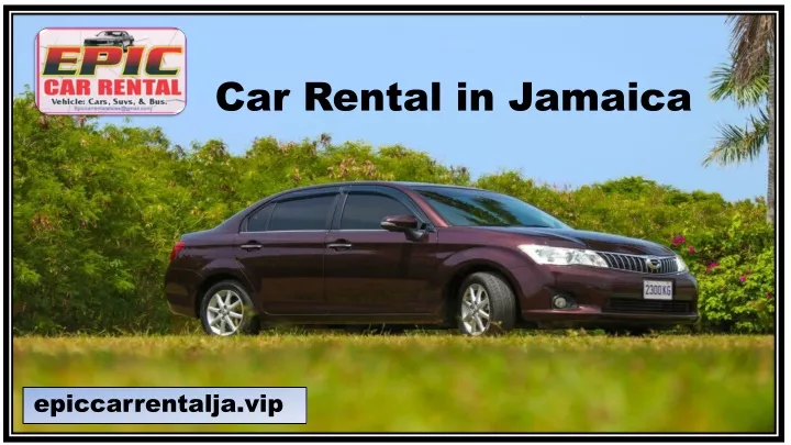 car rental in jamaica