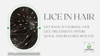 Lice in Hair