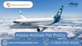 alaska airlines pet policy