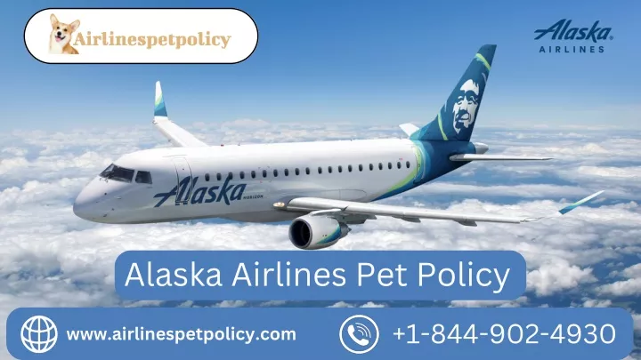 alaska airlines pet policy