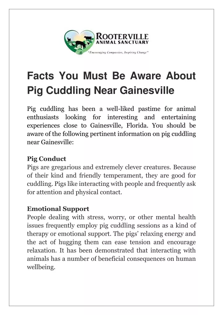 facts you must be aware about pig cuddling near
