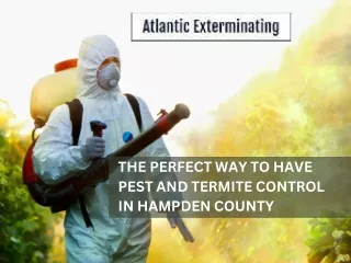 THE PERFECT WAY TO HAVE PEST AND TERMITE CONTROL IN HAMPDEN COUNTY