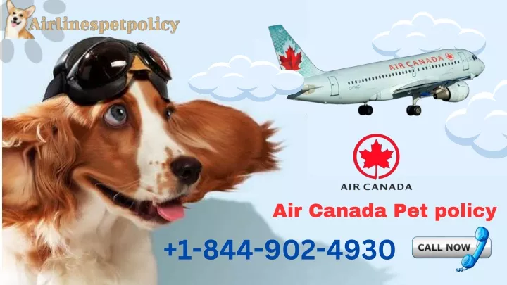 air canada pet policy