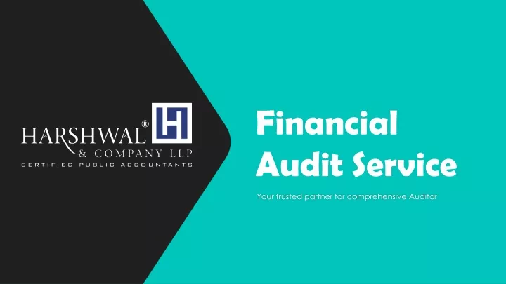 financial audit service