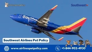 southwest airlines pet policy