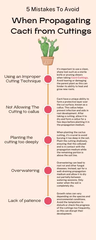 5 Mistakes To Avoid When Propagating Cacti from Cuttings