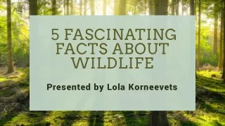 Lola Korneevets Shares 6 Fascinating Facts About Wildlife