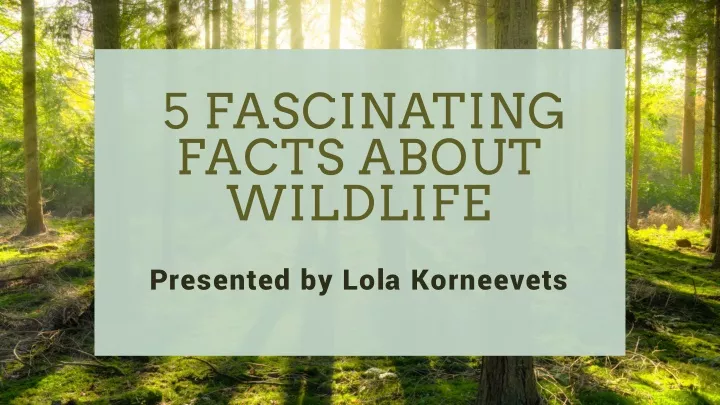 5 fascinating facts about wildlife