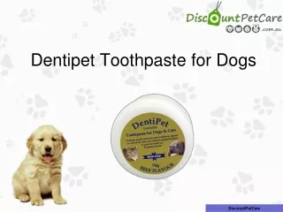 Dentipet Toothpaste for Dogs