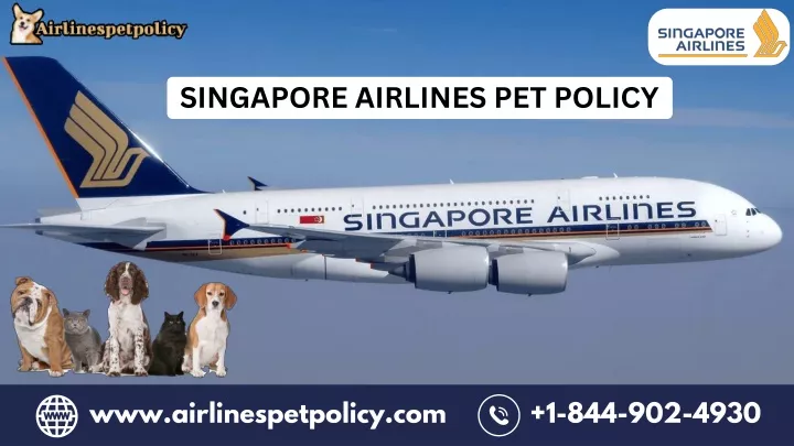 singapore airlines pet policy