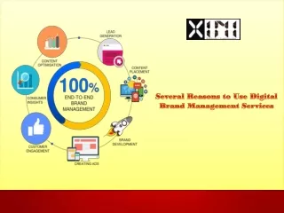Several Reasons to Use Digital Brand Management Services