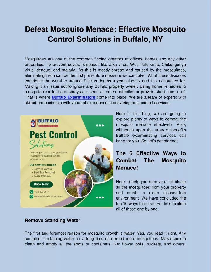 defeat mosquito menace effective mosquito control