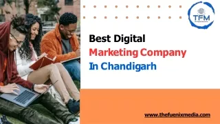 Best Digital Marketing Company In Chandigarh