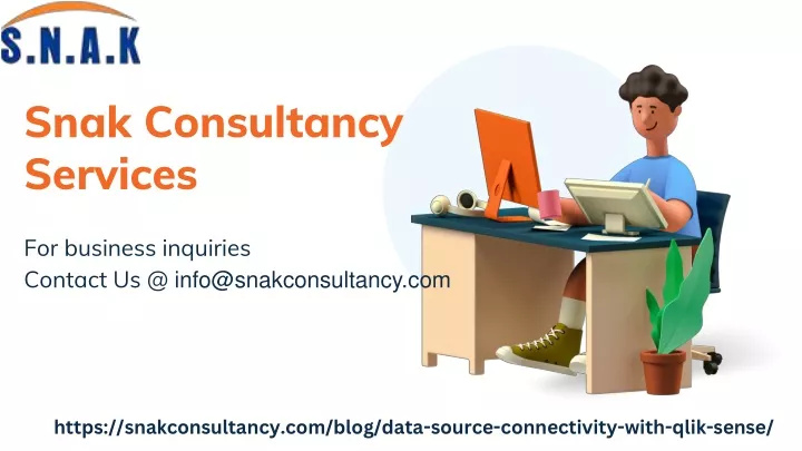 snak consultancy services