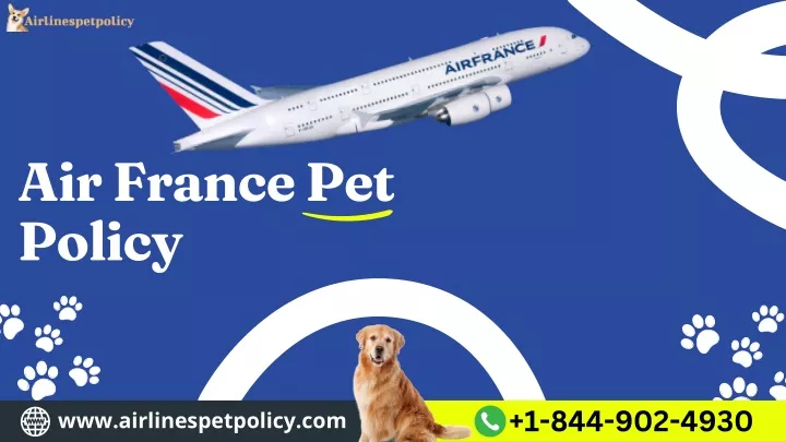 air france pet policy