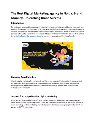 The Best Digital Marketing agency in Noida Brand Monkey, Unleashing Brand Success