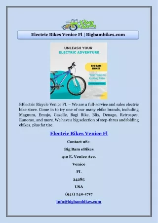 Electric Bikes Venice Fl | Bigbambikes.com