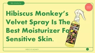 Sensitive Skin Moisturizer By Hibiscus Monkey