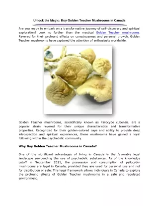 Unlock the Magic: Buy Golden Teacher Mushrooms in Canada