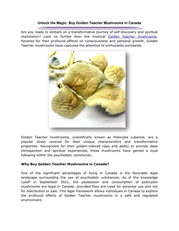 unlock the magic buy golden teacher mushrooms