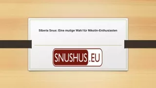 Siberia Snus - Eine mutige Wahl für Nikotin-Enthusiasten