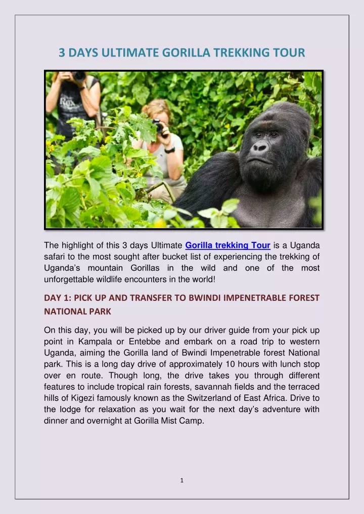 3 days ultimate gorilla trekking tour