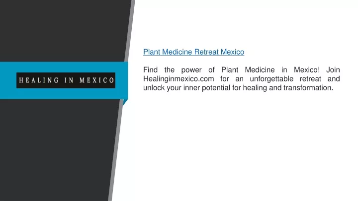 plant medicine retreat mexico find the power
