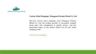 Custom Metal Stampings  Dongguan Fortuna Metals Co, Ltd