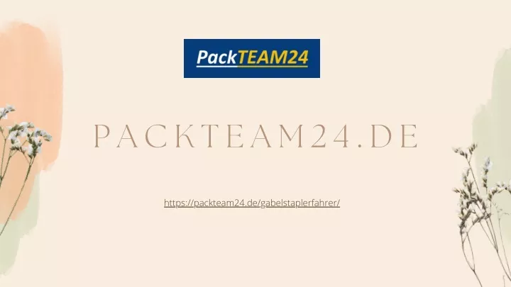 p a c k t e a m 2 4 d e