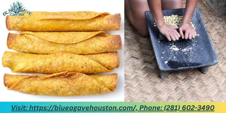 visit https blueagavehouston com phone