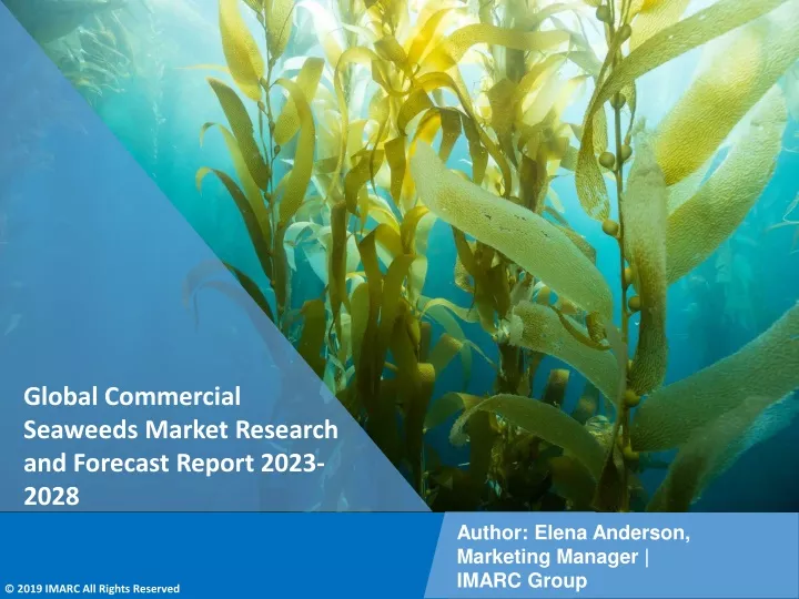 global commercial seaweeds market research