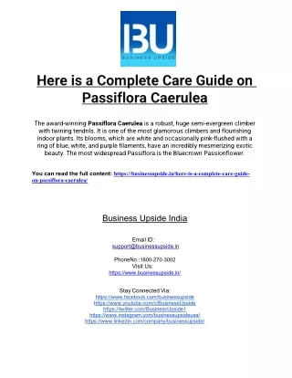 here is a complete care guide on passiflora