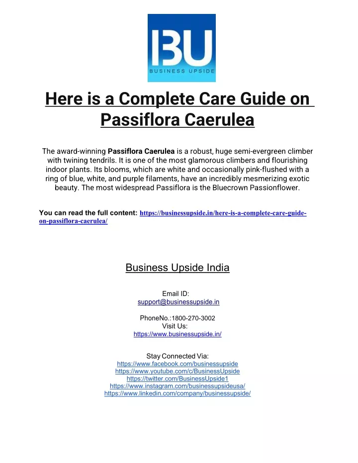 here is a complete care guide on passiflora