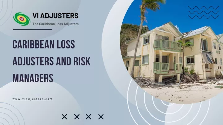 caribbean loss adjusters and risk managers