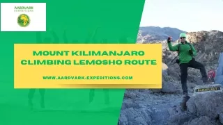 Mount Kilimanjaro Climbing Lemosho Route