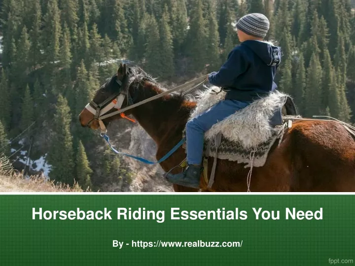 horseback riding essentials you need