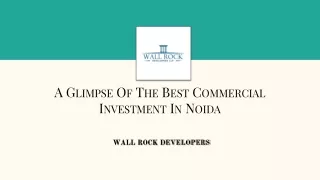 A Glimpse of the Best Commercial Investment in Noida
