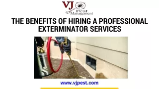 Advantage of Hire Professional Exterminator Services in Upper Westside