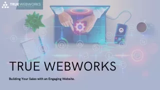 Professional Web Designs - True Webworks