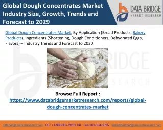 global dough concentrates market industry size