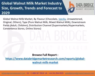 global walnut milk market industry size growth