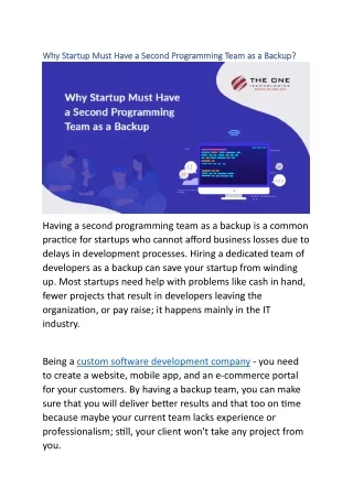 why startup must have a second programming team