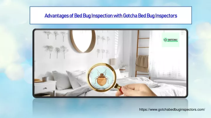 advantages of bed bug inspection with gotcha